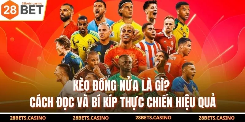 Kèo Đồng Nửa Là Gì? Cách Đọc Và Bí Kíp Thực Chiến Hiệu Quả